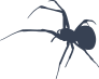 Tall Spindly Spider Sticker