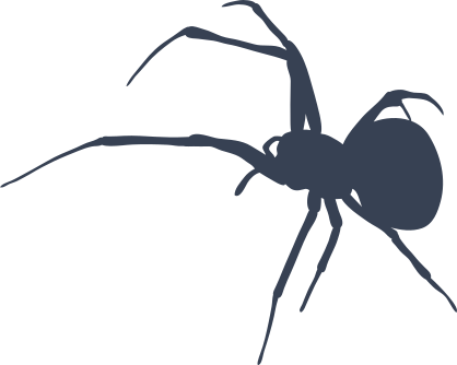 Tall Spindly Spider Sticker