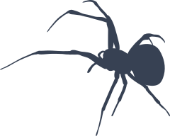 Tall Spindly Spider Sticker