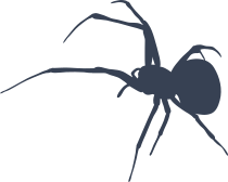 Tall Spindly Spider Sticker
