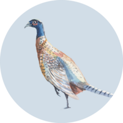 Tall Watercolor Partridge Bird Sticker
