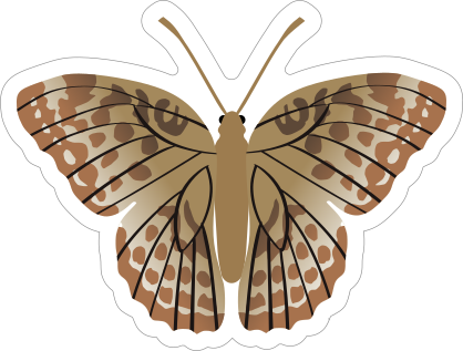 Tan and Brown Butterfly Sticker