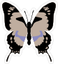 Tan and Purple Butterfly Sticker