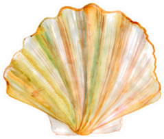 Tan Radial Seashell Watercolor Sticker