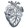 Tattoo  Floral Anatomical Heart Sticker