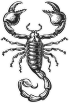 Tattoo Sketch Of Scorpion Sticker