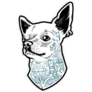 Tattooed Chihuahua Sticker