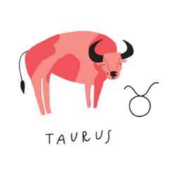 Taurus Zodiac Sign Icon Illustration Sticker