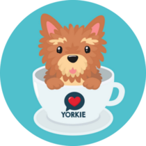 Tea Cup Yorkie Sticker