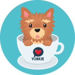 Tea Cup Yorkie Sticker