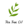 Tea Tree Oil Plant Illustration Sticker
