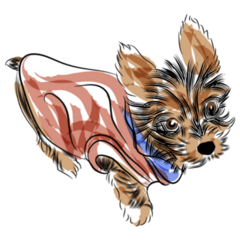 Teacup Yorkshire Drawing Sticker