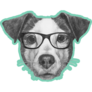 Teal Glasses Jack Russel Sticker