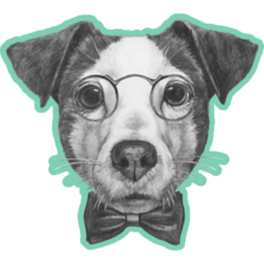 Teal Jack Russel Sticker