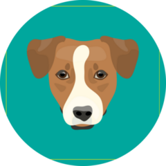 Teal Jack Terrier Sticker