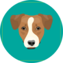 Teal Jack Terrier Sticker