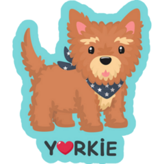 Teal Yorkie Stand Sticker