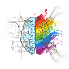 Technical And Art Hemispheres On Human Brain Sticker