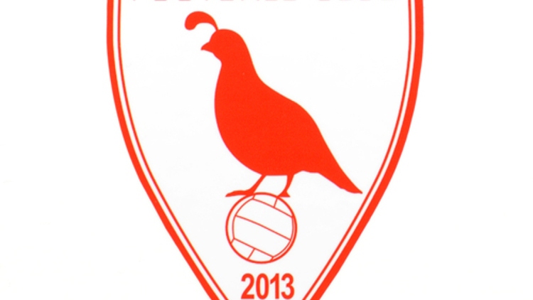 Temecula Football Club Custom Die Cut Stickers