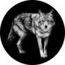 Template Of Coyote In B&w Sticker