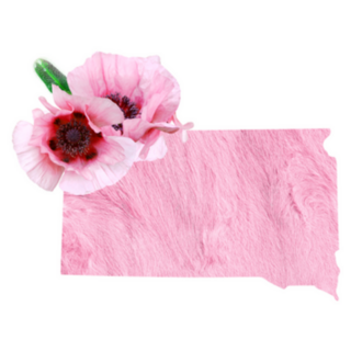 Tender Pink Color State South Dakota Sticker