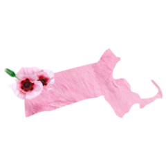 Tender Pink Colors State Massachusetts Sticker