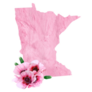 Tender Pink Colors. State Minnesota Sticker