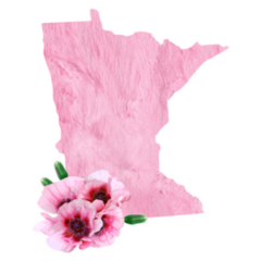 Tender Pink Colors. State Minnesota Sticker