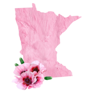 Tender Pink Colors. State Minnesota Sticker