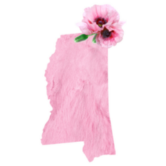 Tender Pink Colors. State Mississippi Sticker