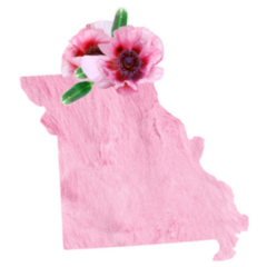 Tender Pink Colors. State Missouri Sticker