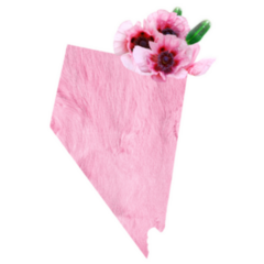 Tender Pink Colors State Nevada Sticker