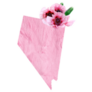 Tender Pink Colors State Nevada Sticker
