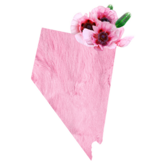 Tender Pink Colors State Nevada Sticker