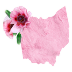 Tender Pink Colors State Of Ohio Sticker