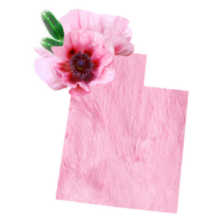 Tender Pink Colors State Of  Utah Sticker