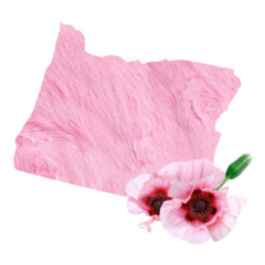 Tender Pink Colors State Oregon Sticker