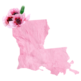 Tender Pink Floral Map of Louisiana Sticker