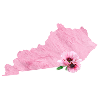 Tender Pink Floral State Kentucky Sticker