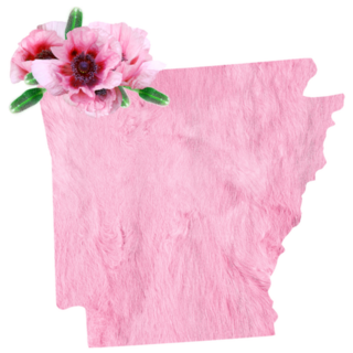 Tender Pink Floral State Map Of Arkansas Sticker