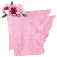 Tender Pink Floral State Map Of Arkansas Sticker
