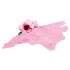 Tender Pink State Map Of North Carolina Sticker