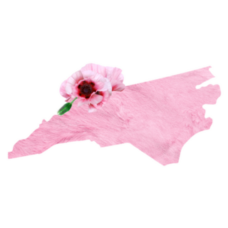 Tender Pink State Map Of North Carolina Sticker