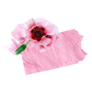 Tender Pink State Of Pennsylvania Floral Sticker