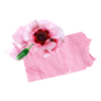 Tender Pink State Of Pennsylvania Floral Sticker