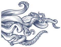 Tentacles Of A Squid Hand Drawn Sticker