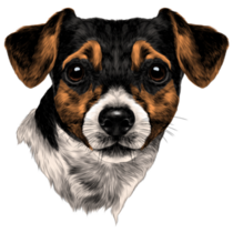 Terrier Head Sketch Sticker
