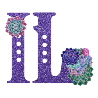Territory Abbreviation State Illinois Purple Glitter Sticker