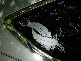 Testimonial - 703