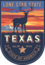 Texas Banner Sticker